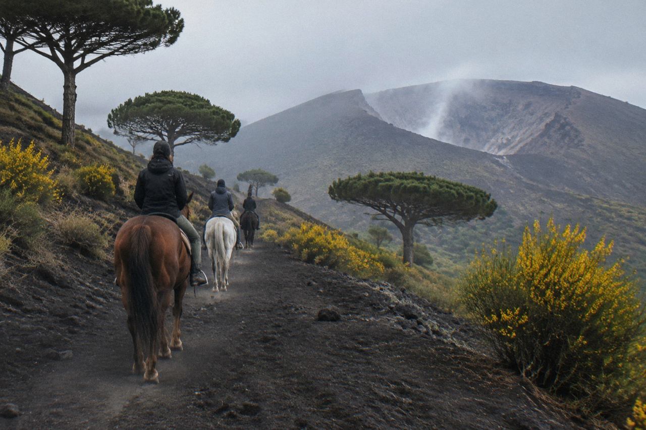 Riders on horseback on a volcanic ash trail through pine and broom on the slopes of Vesuvius