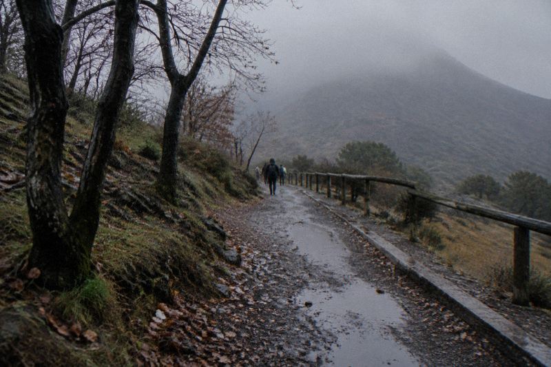 Cloudy November day on Vesuvius with mist around the cone and bare chestnut woods, wet gravel trail