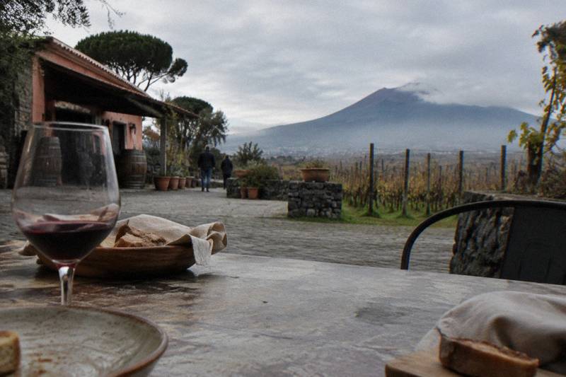 Family Winery, Generous Lunch