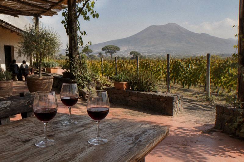 Three-Hour Winery Lunch Trip