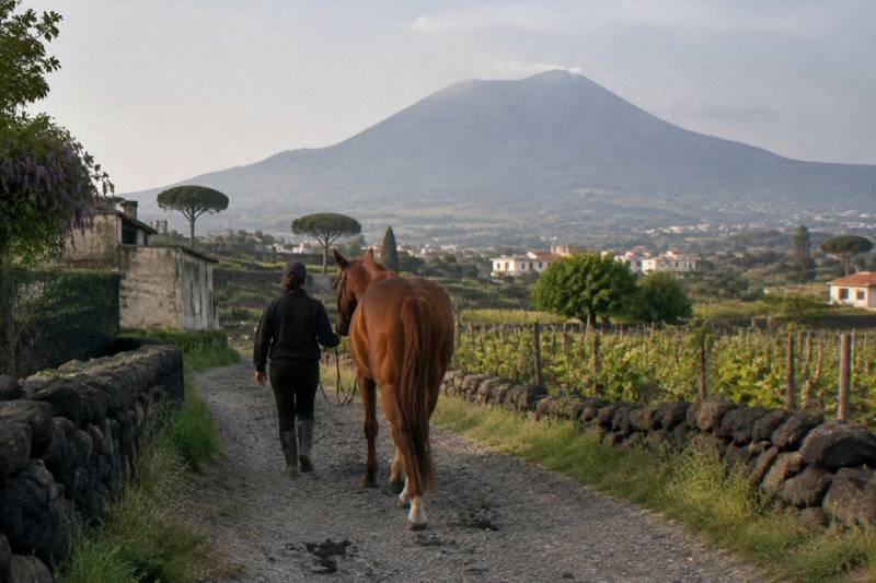 Two-Hour Horseback Ride