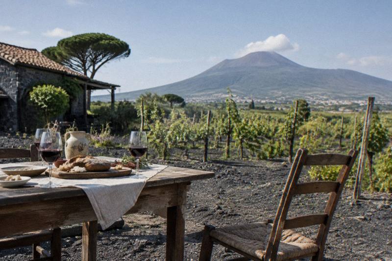 DOP Wines, Campanian Lunch