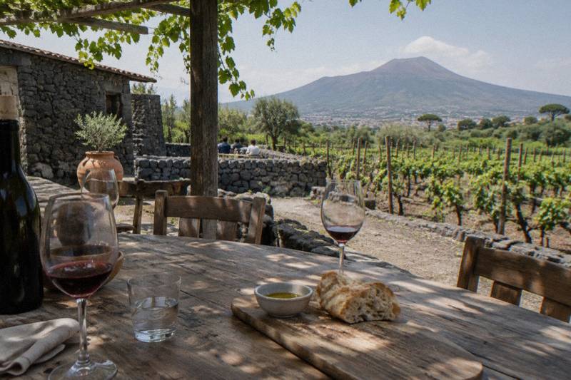 Vineyard or Cellar Visit