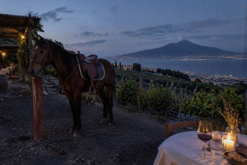 Night Ride, Dinner and Wine