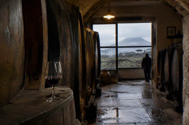 All-Inclusive Winery From Positano