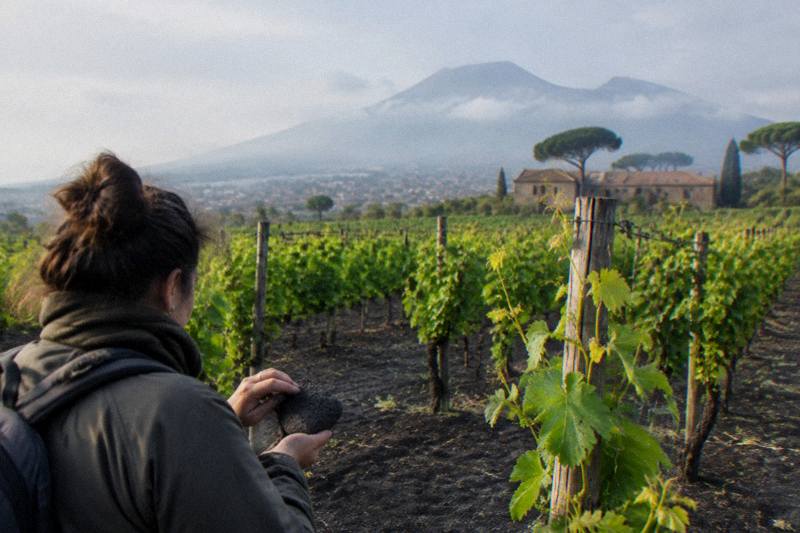 Two-Hour Tasting With Lunch