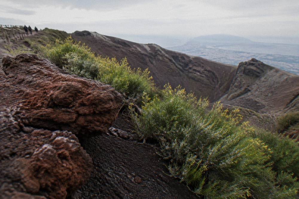 Dark volcanic rock terrain on the slopes of Vesuvius with patches of green shrub