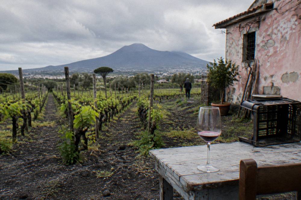 Vineyard rows on the slopes of Vesuvius with a farmhouse and the bay in the distance