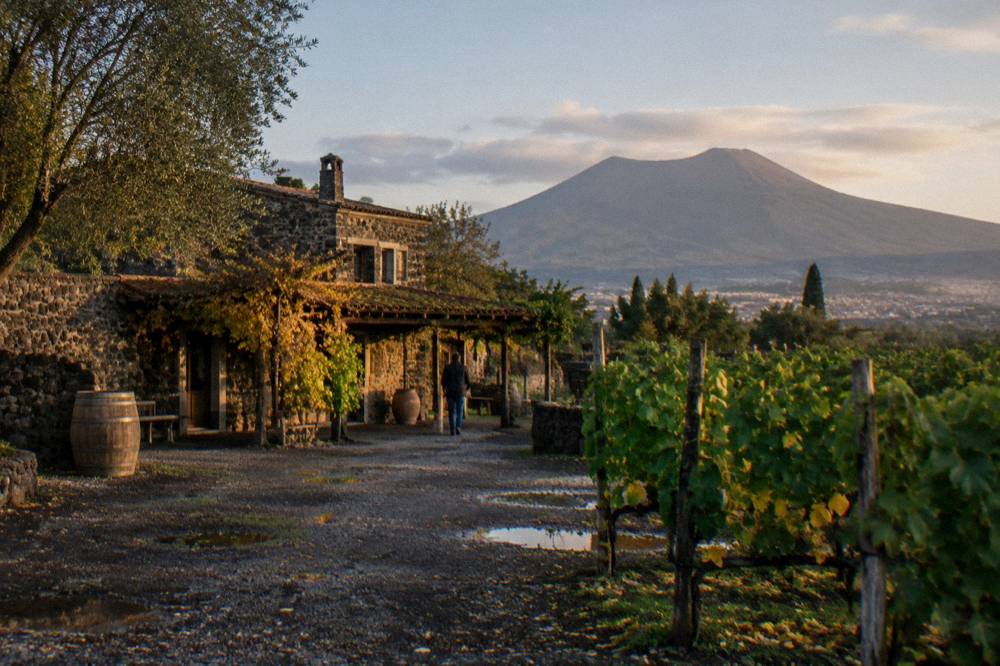A stone winery building surrounded by green vines on a volcanic hillside in autumn light