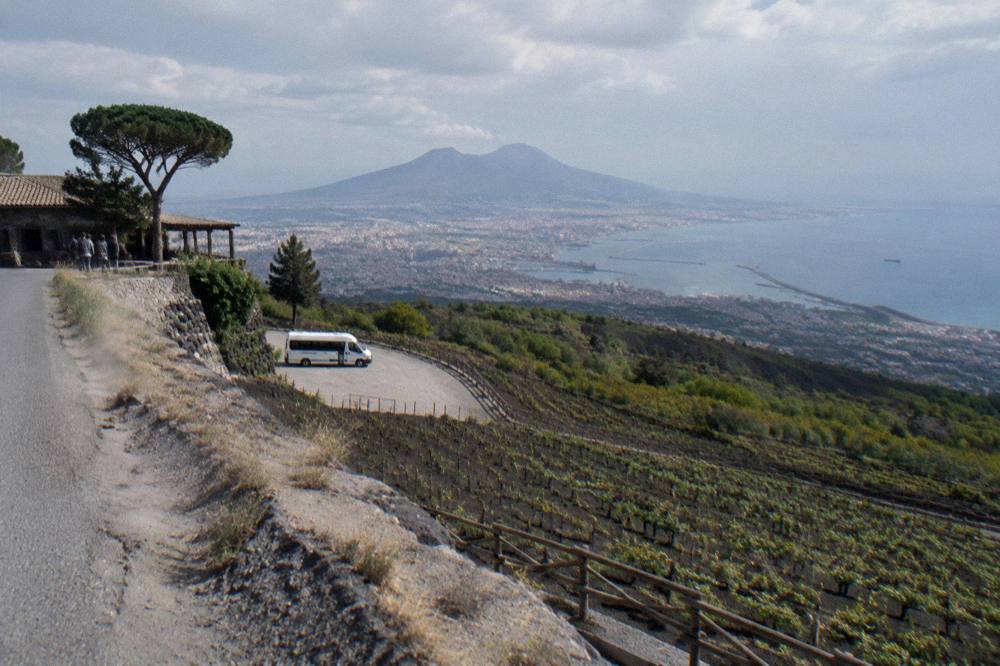 A view from the Vesuvius trail across vineyards on the lower slopes toward the Bay of Naples at midday