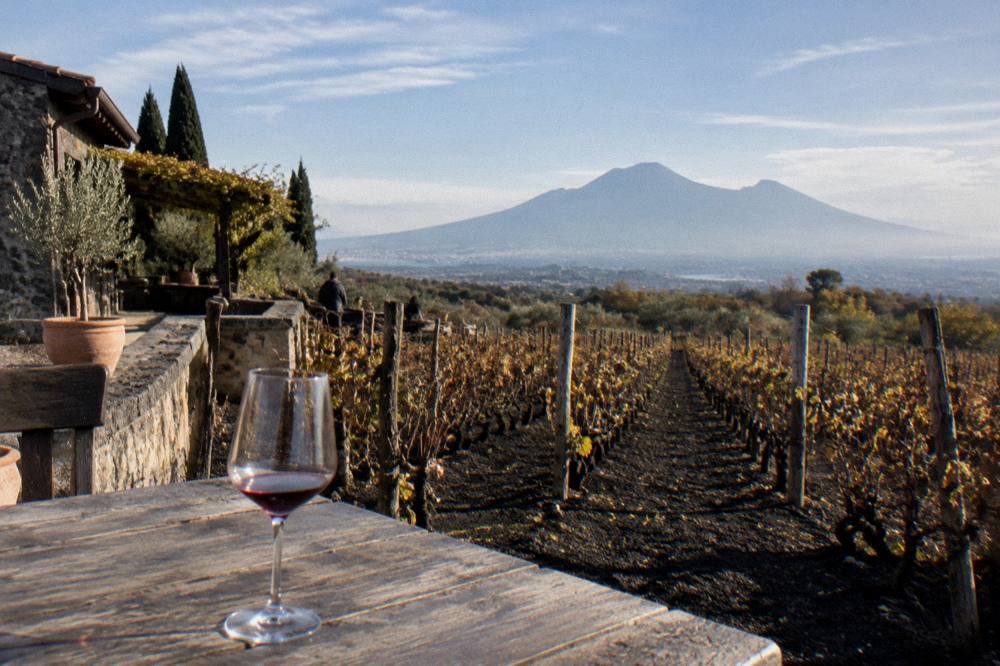 The Vesuvius cone rising above the plain with vineyards in the foreground