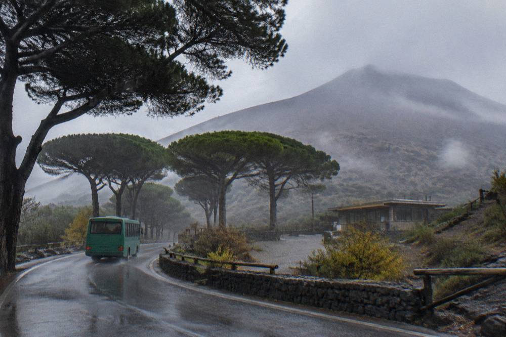 Bus climbing a narrow road through pine woods on the lower slopes of Vesuvius