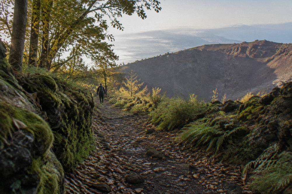 A woodland path on the Somma side of the Vesuvius national park in morning light