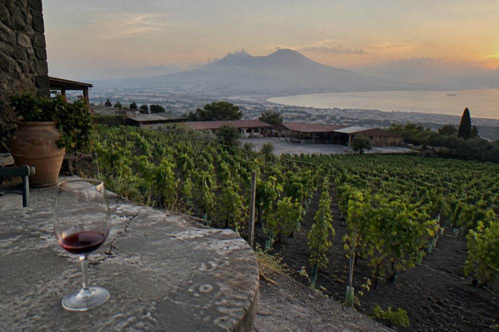 View from the Vesuvius trail across vineyards toward the Bay of Naples haze