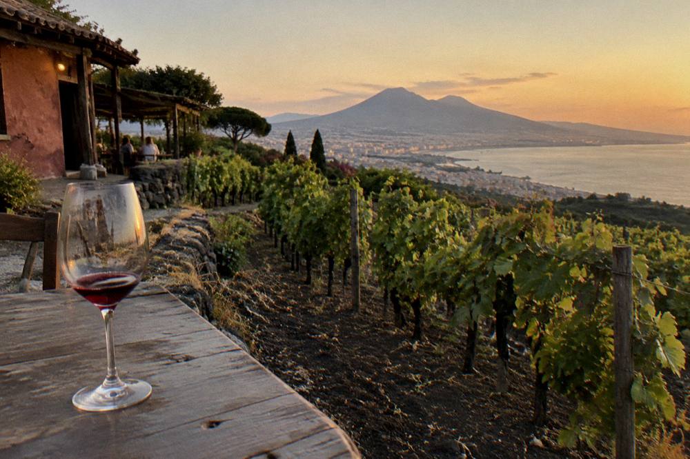Terraced vineyards on the lower volcanic slopes with the bay and coastal towns in the distance
